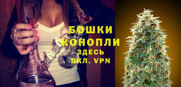 стаф Зеленокумск